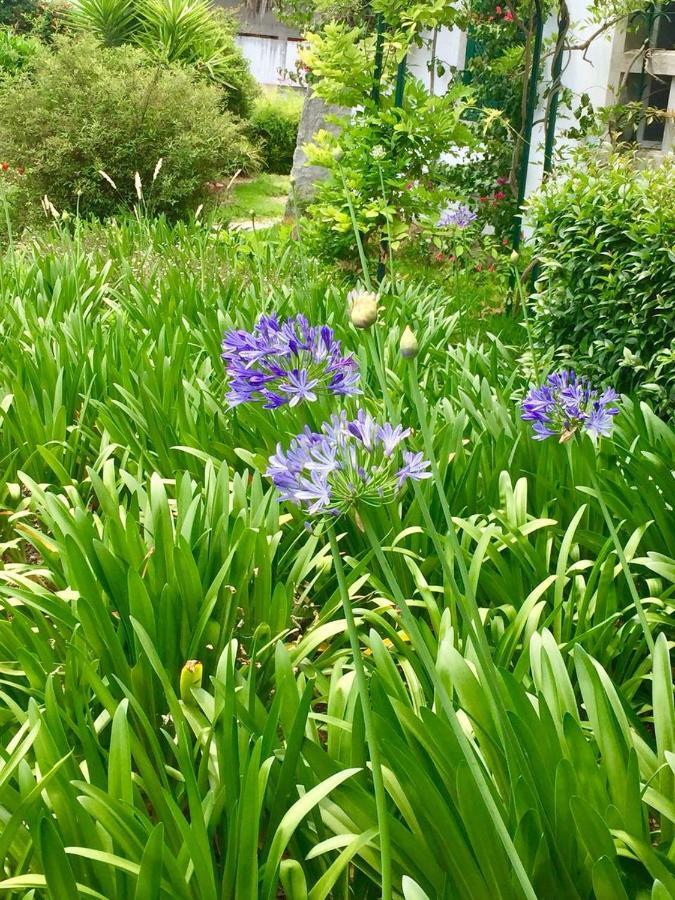 Cascais Seaside Garden Villa 외부 사진