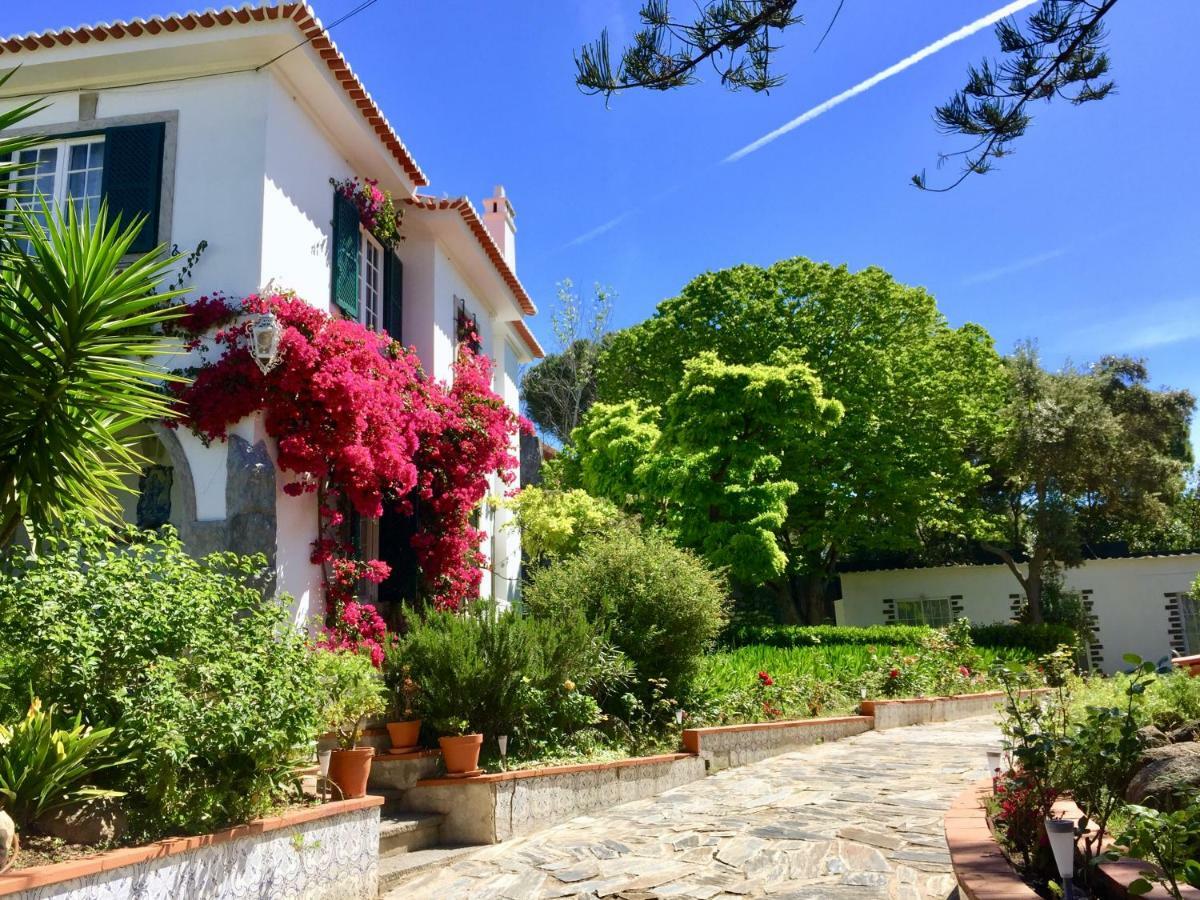 Cascais Seaside Garden Villa 외부 사진